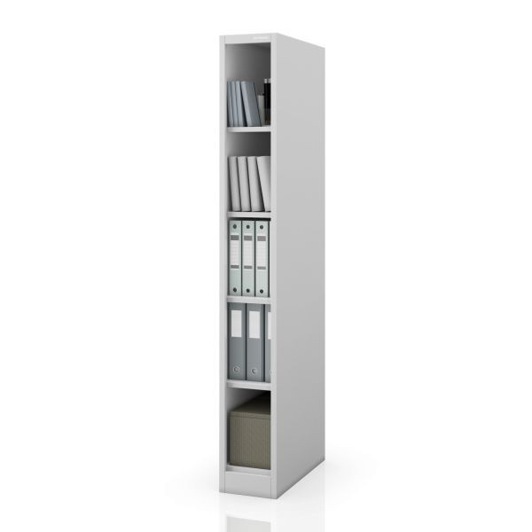 Jan Nowak Schmales Metall-Archivregal für Dokumente, Grau, 250x1850x600 mm, TIM, 2486