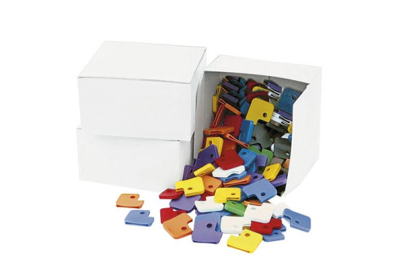 Eichner Schlüsselkappen eckig aus Kunststoff, farbig sortiert, Maße: 2,7 x 3,0 cm, VE: 1 Pack à 100 Stück, 9219-01385