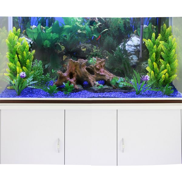 Aquarium 300 L Mit Unterschrank