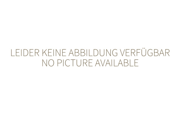 Neumärker Ersatz-Aktivkohlefilter für Mobile Abzugshaube, 06-30602