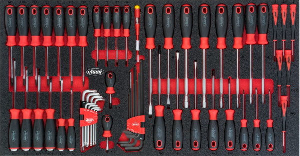 VIGOR Schraubendreher Satz für Series XL, Schlitz Profil, 0,5 x 3 - 1,6 x 10, 7 - 13, PH0 - PH3, T6 - T40, Anzahl Werkzeuge: 60, V5170