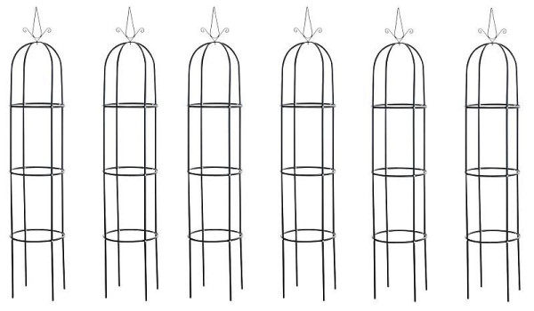 CLP Rosensäule Romantika, schwarz, VE: 6 Stück, 316463