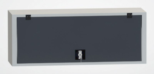 KLW Hängeschrank 400x1031x350mm, abschließbare Klapptüre, 1 Fachboden verzinkt, Tragkraft 50 kg, zur Montage geeignet, SFN-JI0400KO-0001XRH