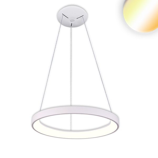 ISOLED LED Hängeleuchte Orbit 480, weiß, 38W, rund, ColorSwitch 3000/3500/4000K, dimmbar, 115648