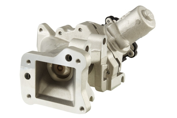 HELLA AGR-Ventil, 12V, elektrisch, mit Dichtung, Steuergerät/Software muss angelernt/upgedatet werden, 6NU 010 171-231