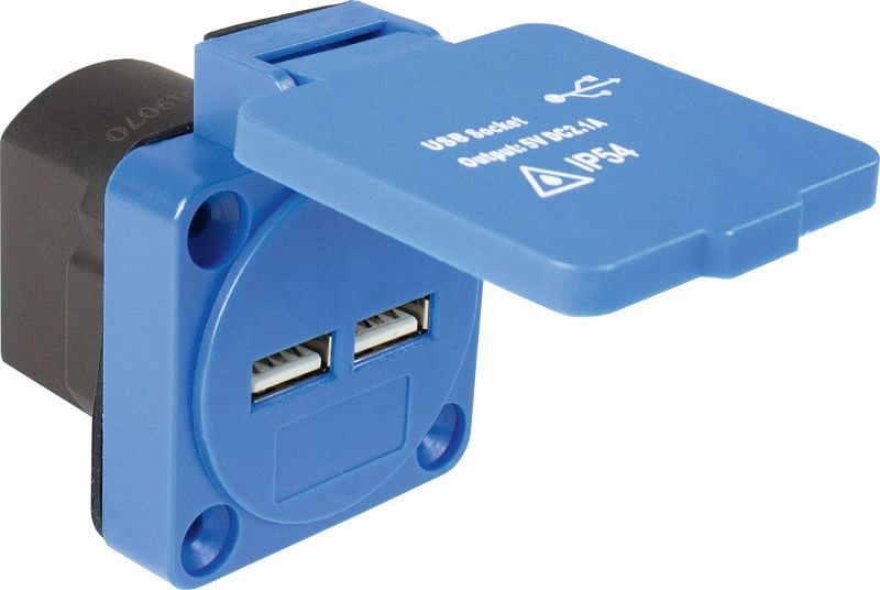as-Schwabe USB Anbausteckdose mit 2 USB ports, 45089
