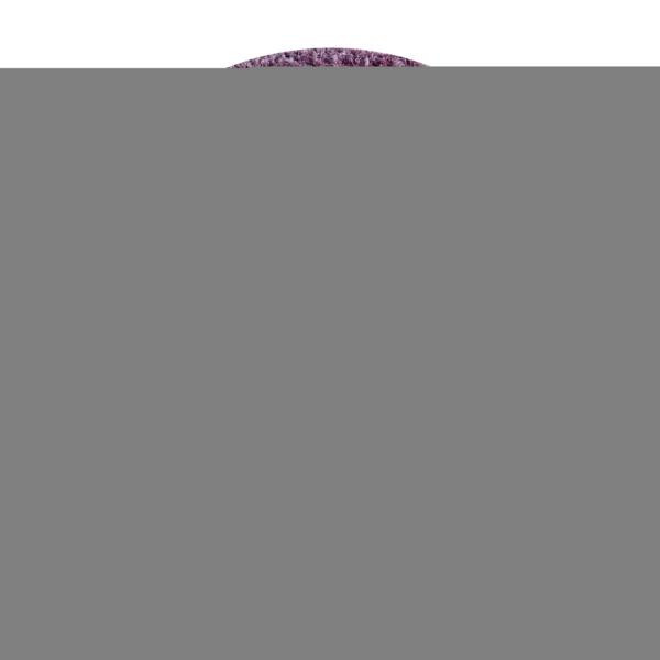 3M Scotch-Brite Light Grinding and Blending Vliesscheibe GB-DH, rot, 115 mm x 22 mm, A CRS HD, VE: 50 Scheiben, 7000046263
