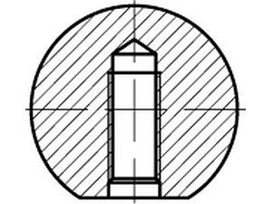 Kugelknöpfe DIN 319 Kunststoff C 20 M 5 schwarz Innengewinde ohne Buchse VE=S (25 Stück)