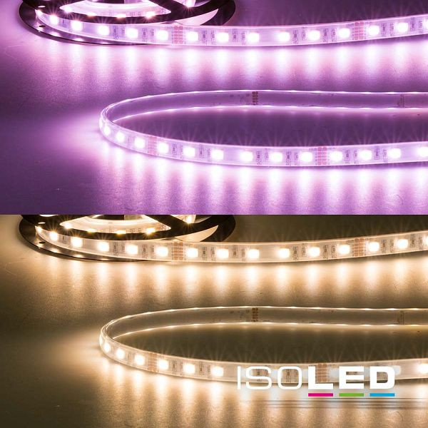 ISOLED LED AQUA RGB+WW Flexband, 24V DC, 19W, IP67, 4in1 chip, 5m Rolle, 60 LED/m, 113901