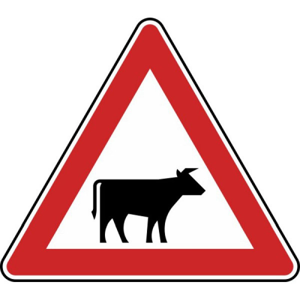 Stein HGS Viehtrieb, Aufstellung links Nr. 101-22, 900 mm, RA1, Flachform 2 mm, 101-22-211