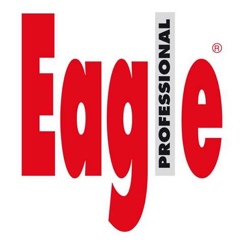 Eagle Logo