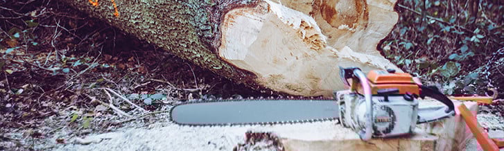 Gartengeräte Image
