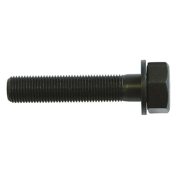 Haupa Ersatzschrauben für Schraublocher 10x1 mm, 180530