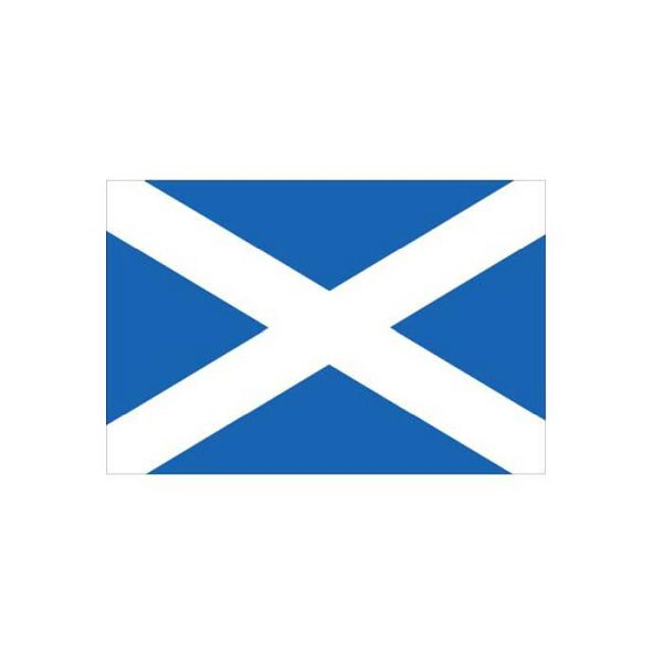 Stein HGS Länderflagge Schottland, 150 x 250 cm (Querformat), mit Seil und Schlaufe, FlagTop 160 g/m², für Fahnenmasten ab 8 m, ohne Hohlsaum, 27899