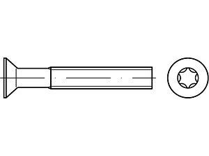 Senkschrauben DIN 965 A 2 M 4 x 30 -T20 VE=S (1000 Stück)
