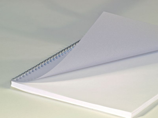 RENZ Deckblätter, DIN A4, transparent matt, Stärke 0,20 mm, VE: 100 Stück, 20200014