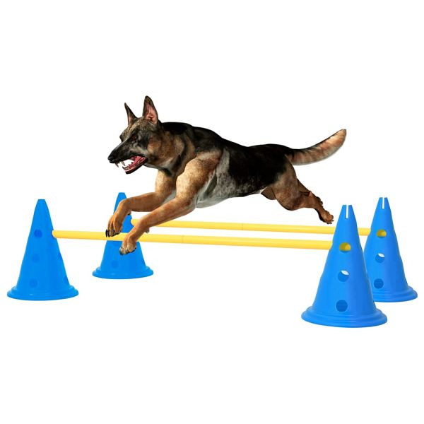vidaXL Agility Hundetraining Hindernis-Set Blau und Gelb, 150952