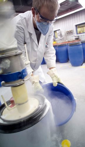 Dräger partikelfiltrierende Halbmaske X-plore 1720 ohne Ventil, FFP2, NR, VE: 20 Stück, 180079