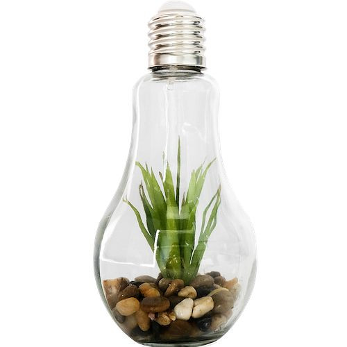 Technoline Glas Deko-Lampe mit Steinen und Pflanzen, 775783