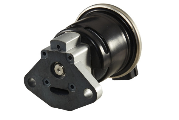 HELLA AGR-Ventil, 12V, elektrisch, mit Dichtung, 6NU 010 171-731