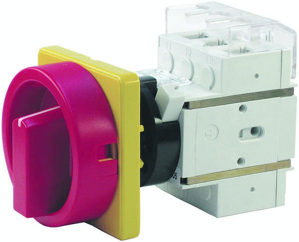 Elektra Tailfingen D2 00/HS-KZF25-D-RG Haupt-NOT-AUS Schalter für Einlochbefür, 32009290