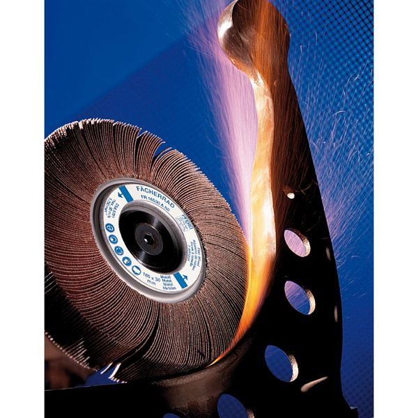 Pferd Fächerrad FR 16550/25,4 A 150, VE: 2 Stück, 44731151