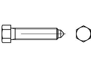 Sechskantschrauben DIN 564 22H / 8.8 BM 24 x 100 VE=S