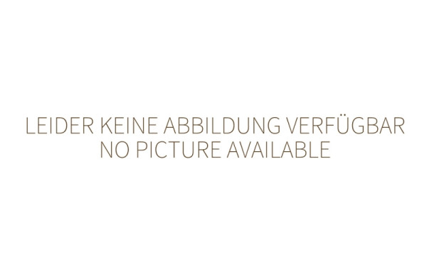 Neumärker Wandhalterung für Salamander Flash Heat, 06-50374