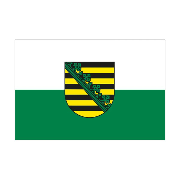 Stein HGS Landesflagge Sachsen, 100 x 150 cm (Querformat), mit Seil und Schlaufe, FlagTop 110 g/m², für Fahnenmasten 6 m, ohne Hohlsaum, 26552