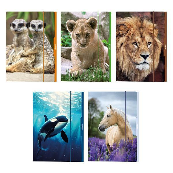 Pelikan Sammelmappe Tiere - A3, sortiert, 300004007, 4012700276889