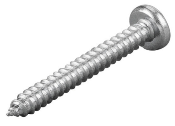REMS Blechschraube, Maße (LxBxH): 40 x 10 x 10 mm, 083069
