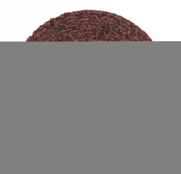 3M Scotch-Brite Kompaktscheibe FS-WL, 203,2 mm, 50,8 mm, 50,8 mm, Härte 5, A CRS, VE: 2 Scheiben, 7000046147