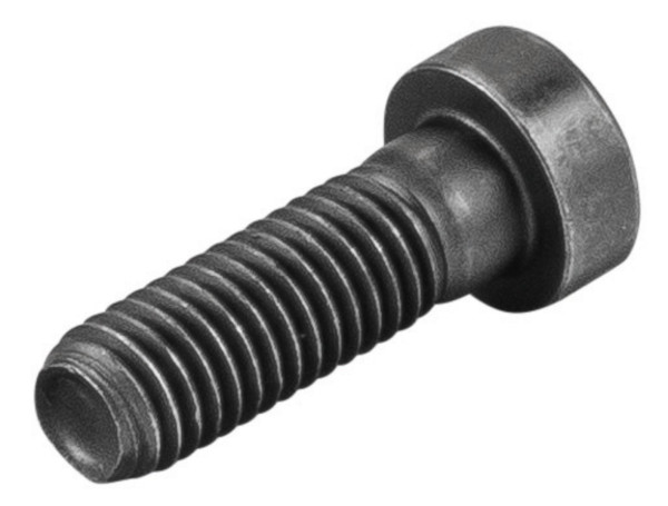 REMS Zylinderschraube, Maße (LxBxH): 30 x 13 x 13 mm, Gewicht: 0,013 kg, 081065