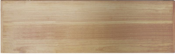Kraftwerk MOBILIO Buche Multiplex-Platte 696x2041mm, 3964-188