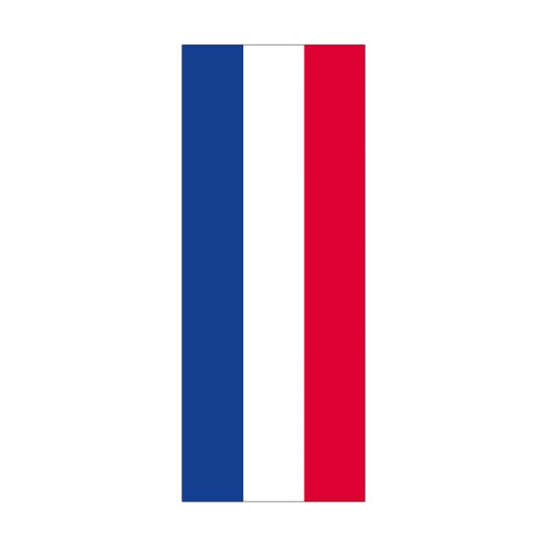 Stein HGS Landesflagge Thüringen (ohne Wappen), 400x150cm, mit Kunststoff-Karabiner, FlagTop 110 g/m², für Fahnenmasten ab 8 m ohne Hohlsaum, 26674