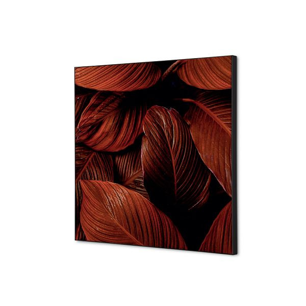 Showdown Displays Spannstoff Wanddekoration SET 40 x 40 Botanische Blätter Rot, TFR22W400-SET-I19