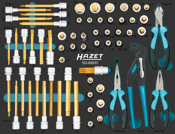 Hazet Schraubendreher-Steckschlüsseleinsatz Satz, 61-teilig, 4 – 22, M5 – M18, T20 – T60, 163-609/61
