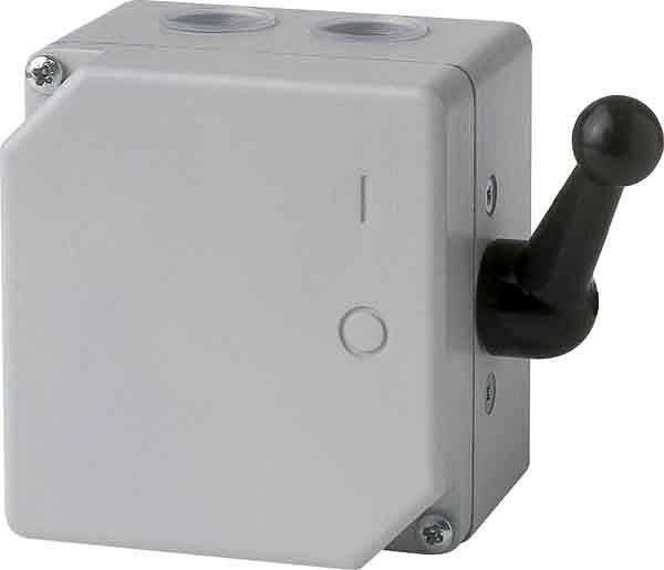 Elektra Tailfingen Polumschalter gussgekapselt, IP54 TPIIG 32, 46466