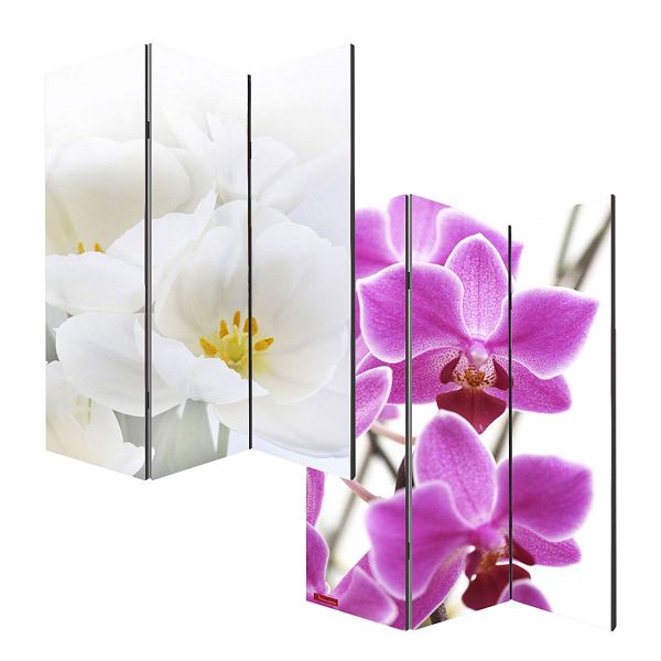 Mendler FotoParavent Paravent Raumteiler Trennwand M68 180x120cm