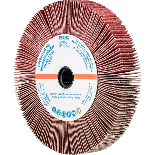 Pferd Fächerrad für Winkelschleifer FR WS 12520 5/8-11 CO-COOL 60, VE: 2 Stück, 44782806