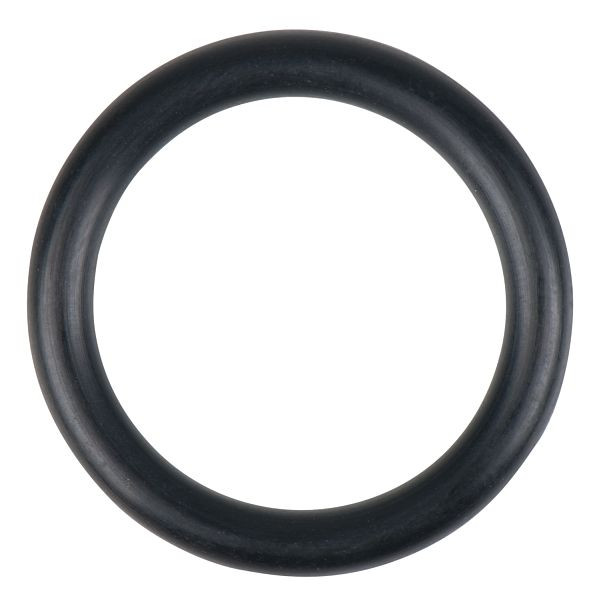 KS Tools O-Ring für Pumpventil, 150.9258-R004P, 4042146796085