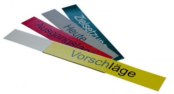 Eichner Spaltentextprofil aus Kunststoff, in C-Form nach hinten abgekantet, magnethaftend inkl. Kartonstreifen, 9225-01014