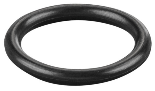 REMS O-Ring, Maße (LxBxH): 25 x 25 x 2 mm, Gewicht: 0,001 kg, 060009