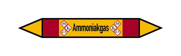 Schilder Klar Rohrleitungskennzeichen Ammoniakgas, 100x15 mm Folie selbstklebend, 101542/30