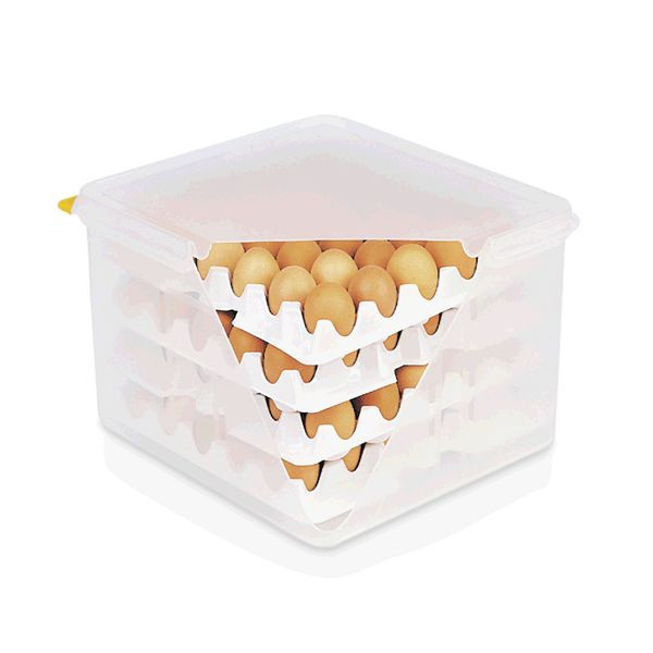 WAS Eierbox HACCP, 35,4 x 32,5 x 20 cm, Polypropylen, 8623120