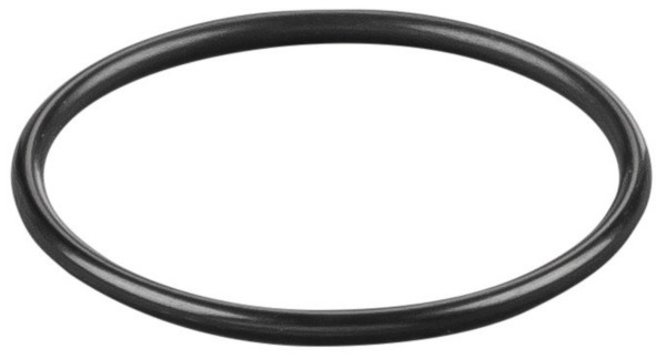 REMS O-Ring, Maße (LxBxH): 30 x 30 x 1 mm, Gewicht: 0,0002 kg, 060154