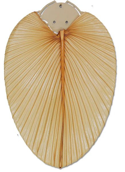 CasaFan Flügelsatz 132 Palme natur, für Deckenventilatoren, 19901