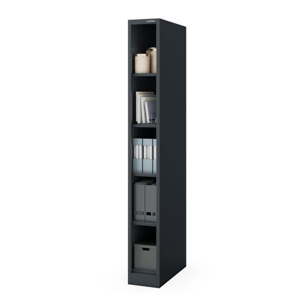 Jan Nowak Schmales Metall-Archivregal für Dokumente, Anthrazit, 250x1950x600 mm, TIM, 2489