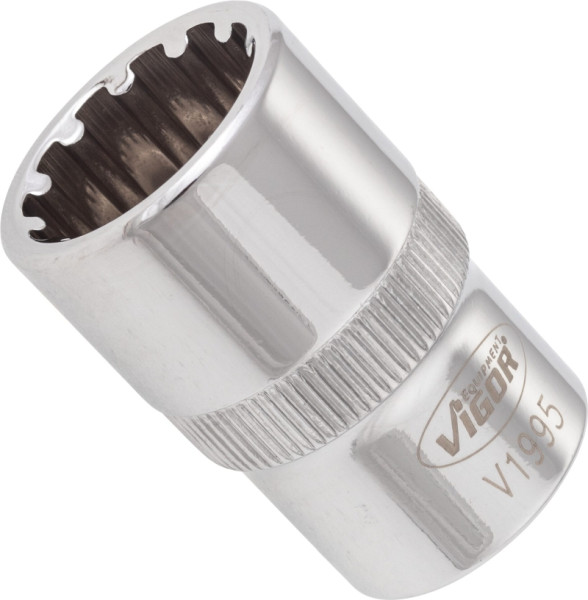 VIGOR Multiprofil Steckschlüsseleinsatz, Vierkant hohl 12,5 mm (1/2 Zoll), Multiprofil, 17 mm, VE: 10 Stück, V1995