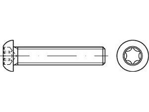 Flachkopfschrauben ISO 7380 -1 A 2 M 5 x 20 -T25 Vollgewinde VE=S (500 Stück)